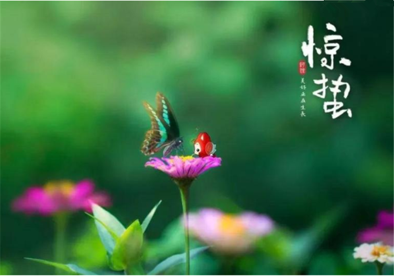 二十四節氣“驚蜇”都有哪些習俗？